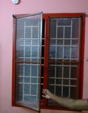 gallery/window_tymosquito_mesh
